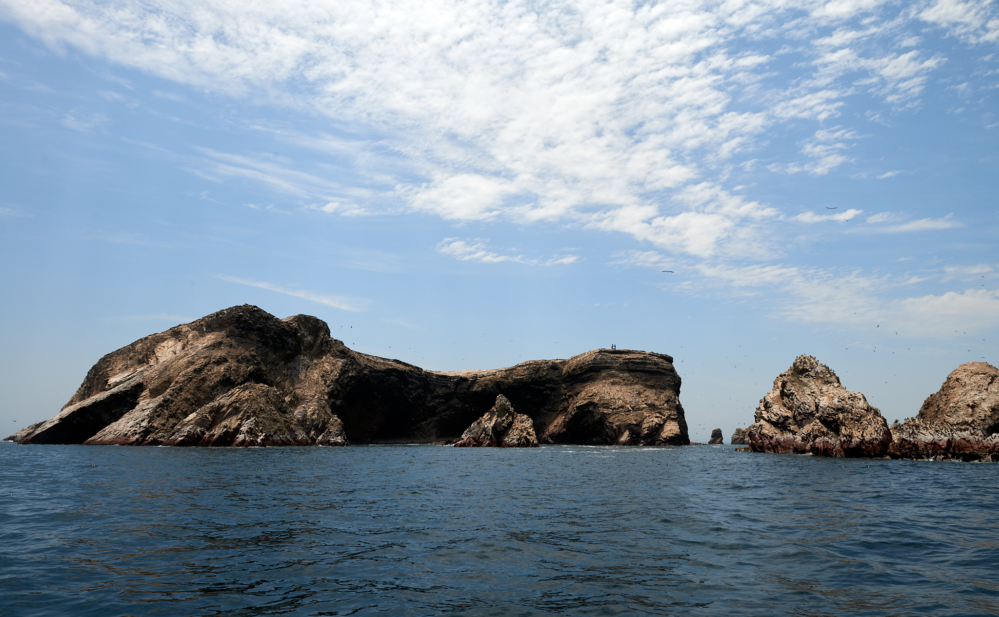 20200304 193 [페루] 바예스타섬